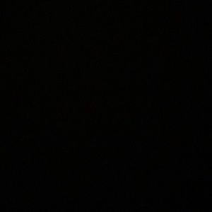 Meet your Posher, Peyton